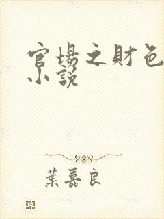 官场之财色诱人小说