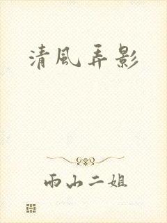 清风弄影