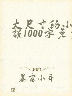 大尺寸的小黄说说1000字免费
