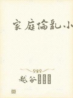 家庭伦乱小说