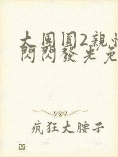 大团圆2亲情会闪闪发光免费