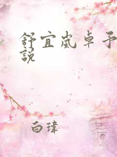 舒宜岚卓予淮小说