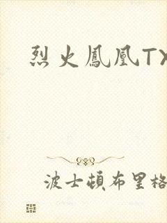 烈火凤凰TXT