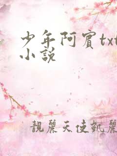 少年阿宾txt小说