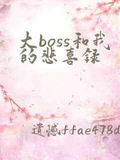 大boss和我的悲喜录