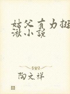 姑父有力挺送徐湫小说