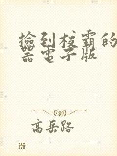 捡到校霸的遥控器电子版