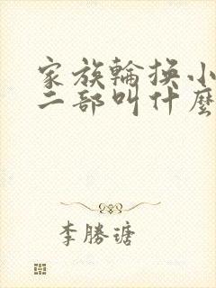 家族轮换小说第二部叫什么名字