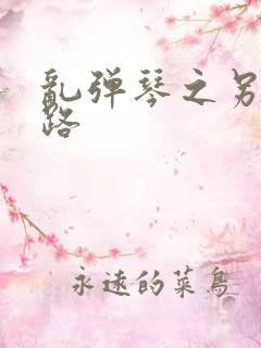 乱弹琴之另一条路