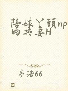 陪嫁丫头np全肉共妻H