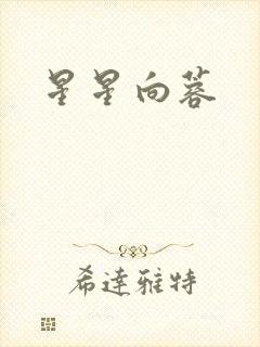 星星向蓉