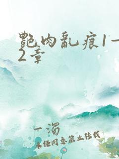 艳肉乱痕1—12章