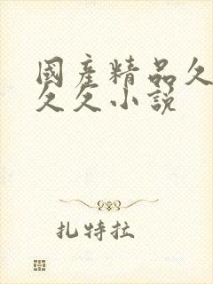 国产精品久久久久久小说