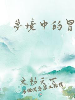 梦境中的冒险家