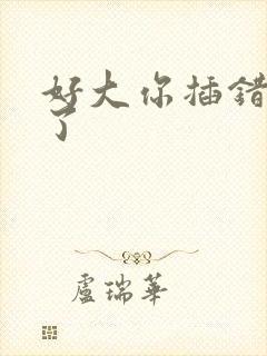 好大你插错地方了