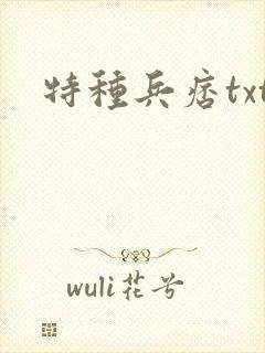 特种兵痞txt