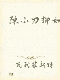 陈小刀柳如意