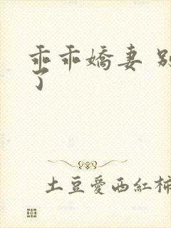 乖乖娇妻 别闹了