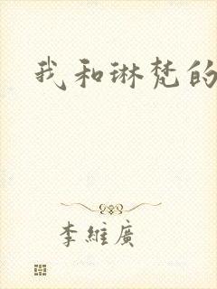 我和琳梵的故事