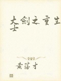 大剑之重生圣骑士