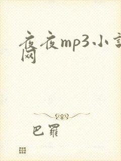 夜夜mp3小说网