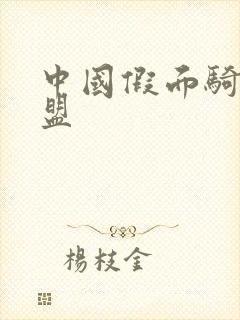 中国假面骑士联盟