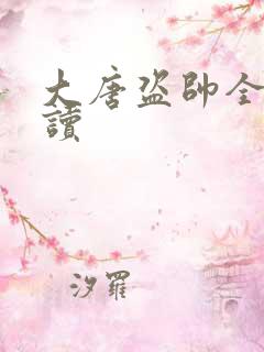 大唐盗帅全文阅读