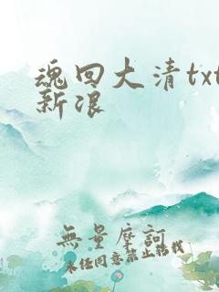魂回大清txt新浪