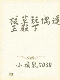 校草玩偶遵命公主殿下