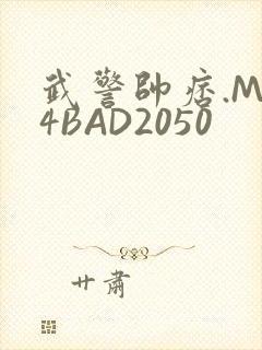 武警帅痞.MP4BAD2050