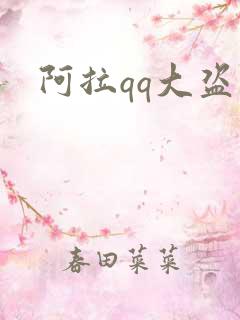 阿拉qq大盗
