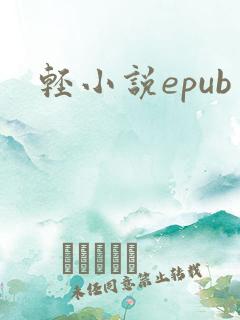 轻小说epub