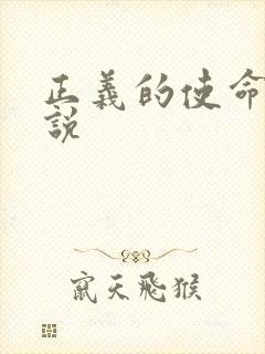 正义的使命 小说