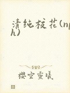 清纯校花(nph)