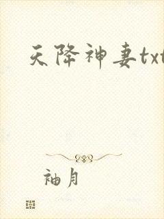 天降神妻txt