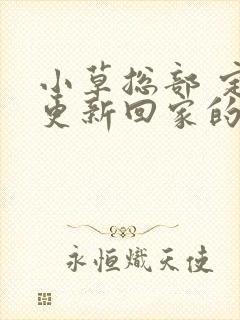 小草总部 定期更新回家的路