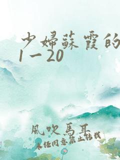 少妇苏霞的沉沦1一20