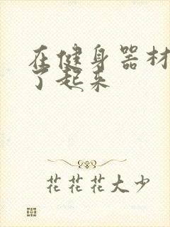 在健身器材上做了起来