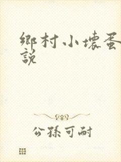 乡村小坏蛋 小说