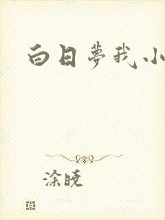 白日梦我小说