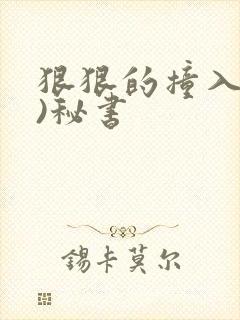 狠狠的撞入(h)秘书