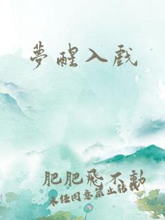 梦醒入戏