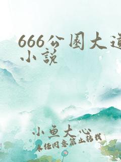 666公园大道小说