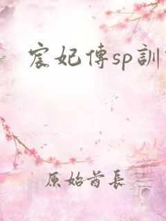 宸妃传sp训诫