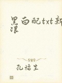 黑白配txt新浪