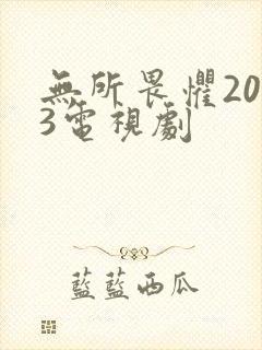 无所畏惧2023电视剧