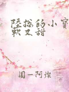 陆总的小宝贝又软又甜