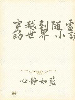 穿越到随处做 的世界 小说