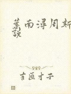 叶南浔周斯年小说