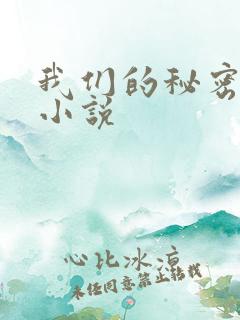 我们的秘密泰剧小说